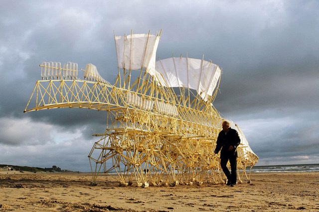  p data-id="gnx272jq2i">strandbeests是荷兰动感雕塑 a target="