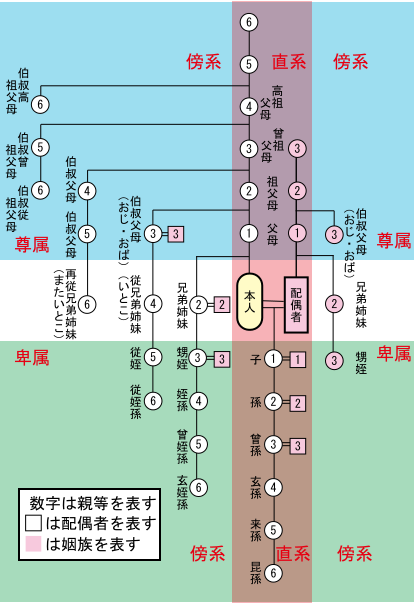 亲属关系图_百度百科