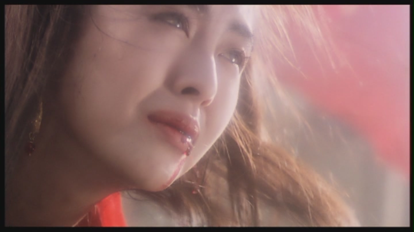 东方不败之风云再起(dvd9 简装版)