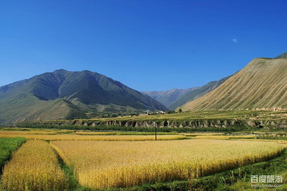  p data-id="gnb6s6fmnf">达力加山位于甘南藏族自治州夏河县甘加乡