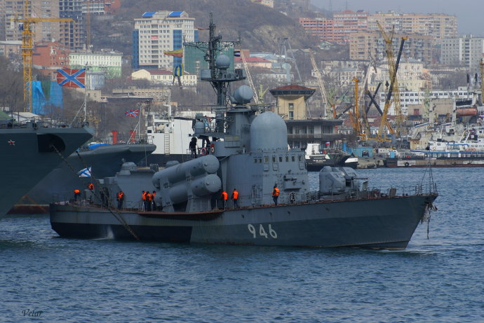 毒蜘蛛级导弹快艇