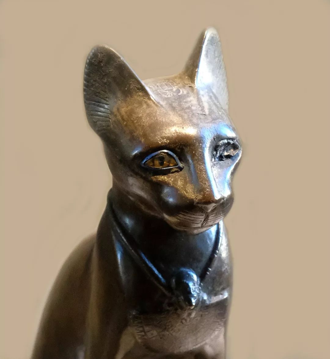 为什么只有警犬，没有警猫_百科TA说