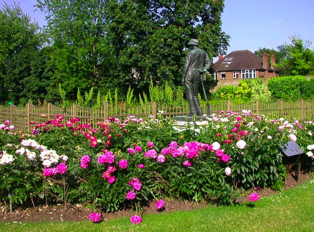 the botanical garden