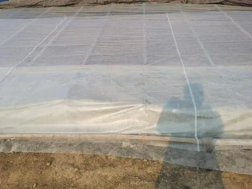  p>可降解地膜是一种新型的 a target="_blank" href="/item/可降解