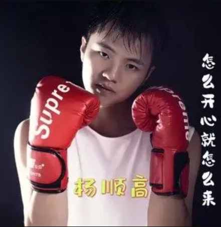  p data-id="stoxu89oylls">《怎么开心就怎么来》是杨顺高演唱的歌曲