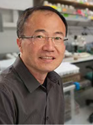 王竞（深圳湾实验室分子生理学研究所所长）_百度百科