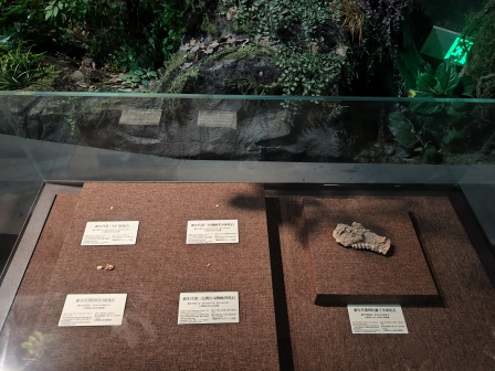 溧阳博物馆内藏品