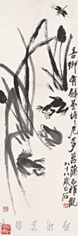 青蛙蜻蜓