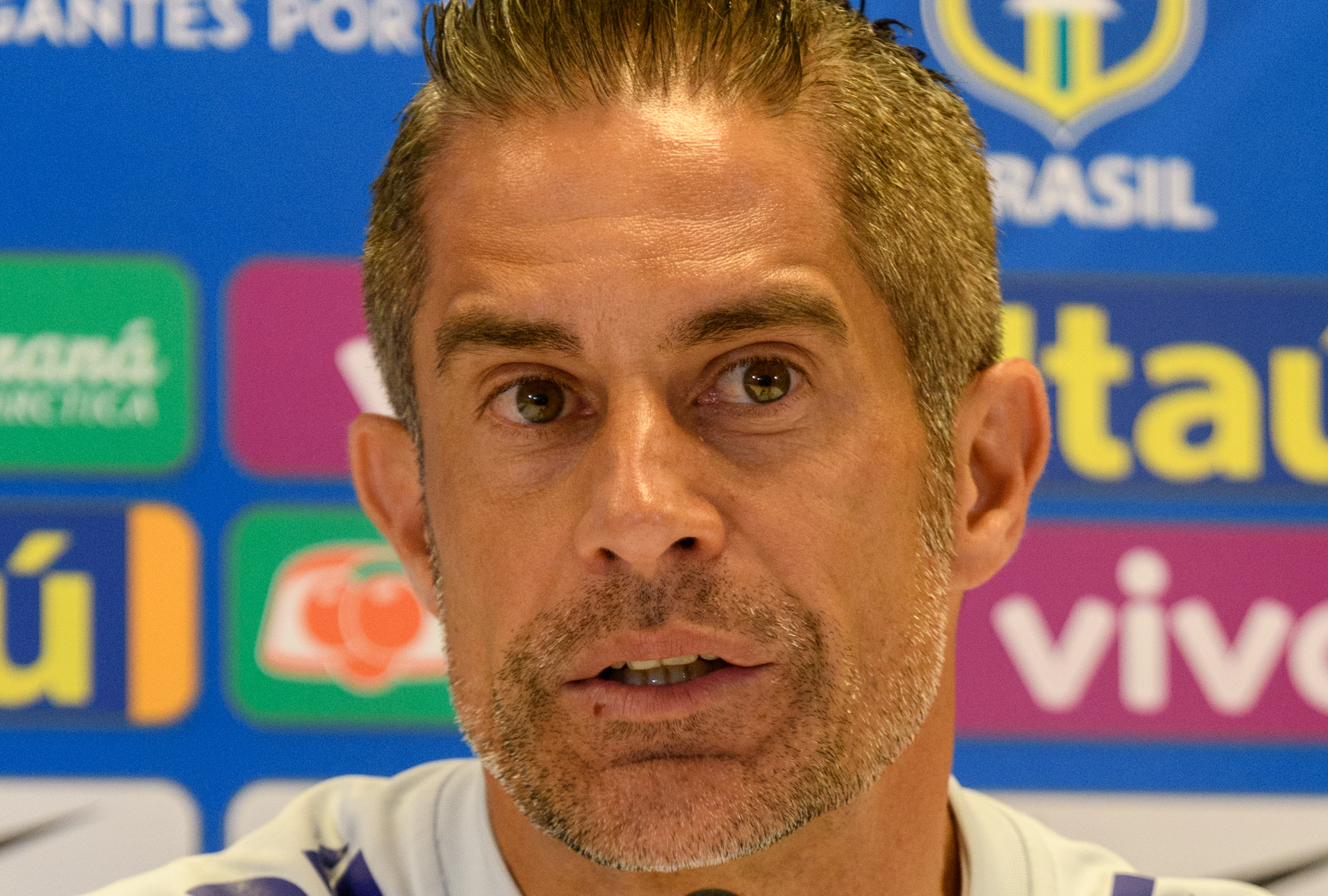  p> b>西尔维奥·门德斯·坎波斯·儒尼奥尔 /b>(sylvio mendes