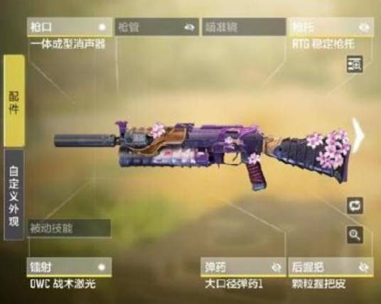 PP19_百度百科
