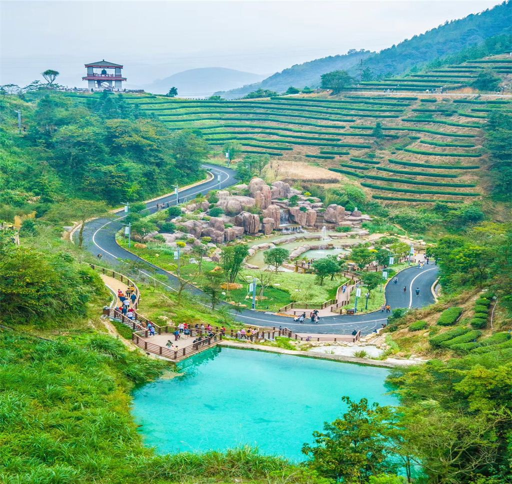  p data-id="t0yrodhix93k">高峰谷,位于漳州市平和县霞寨镇官峰村.