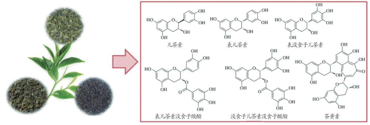  p data-id="gncoa1g60y">茶多酚是茶叶中多酚类物质的总称,为白色不