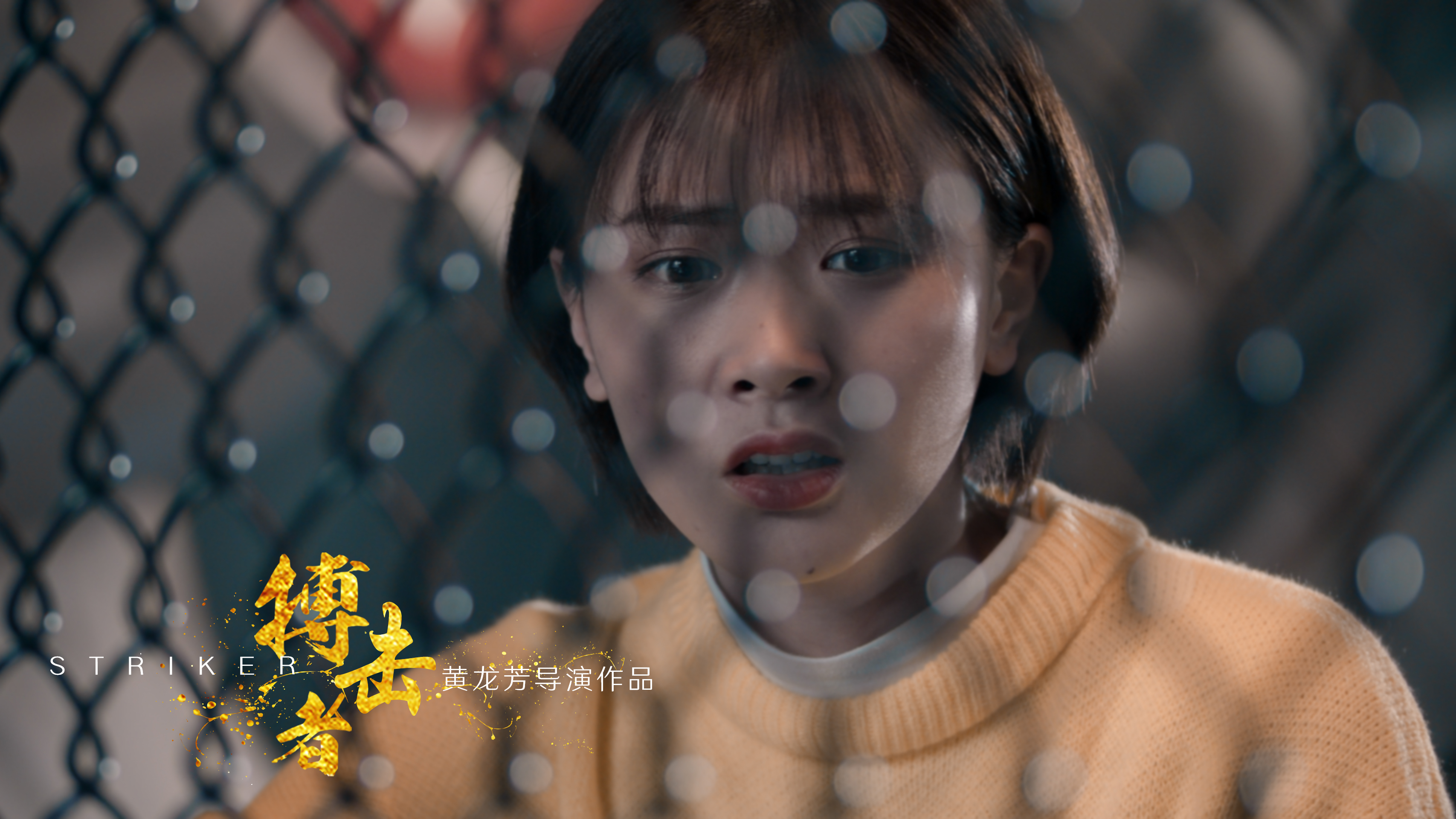  p>电影《搏击者》是由 a target="_blank" href="/item/黄龙芳