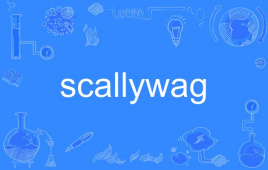 scallywag