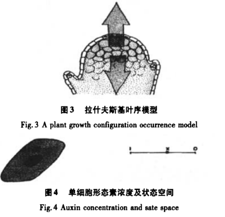 模拟植物生长算法_百度百科