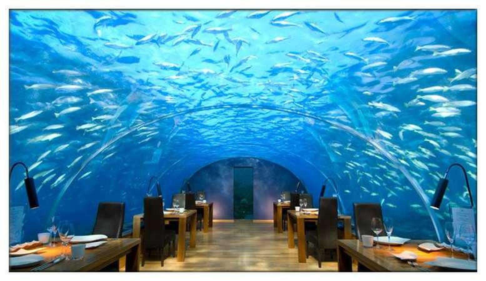  p>海底餐厅,是指在海平面以下6米处的餐馆,餐厅外层是透明的 a href=