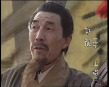 审配影视形象