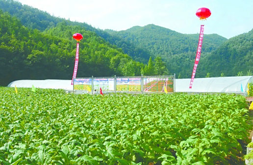 <p>南漳县风光