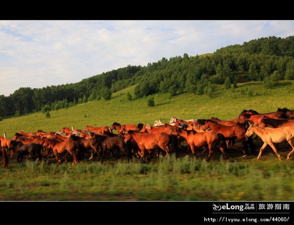 木兰围场国际狩猎场