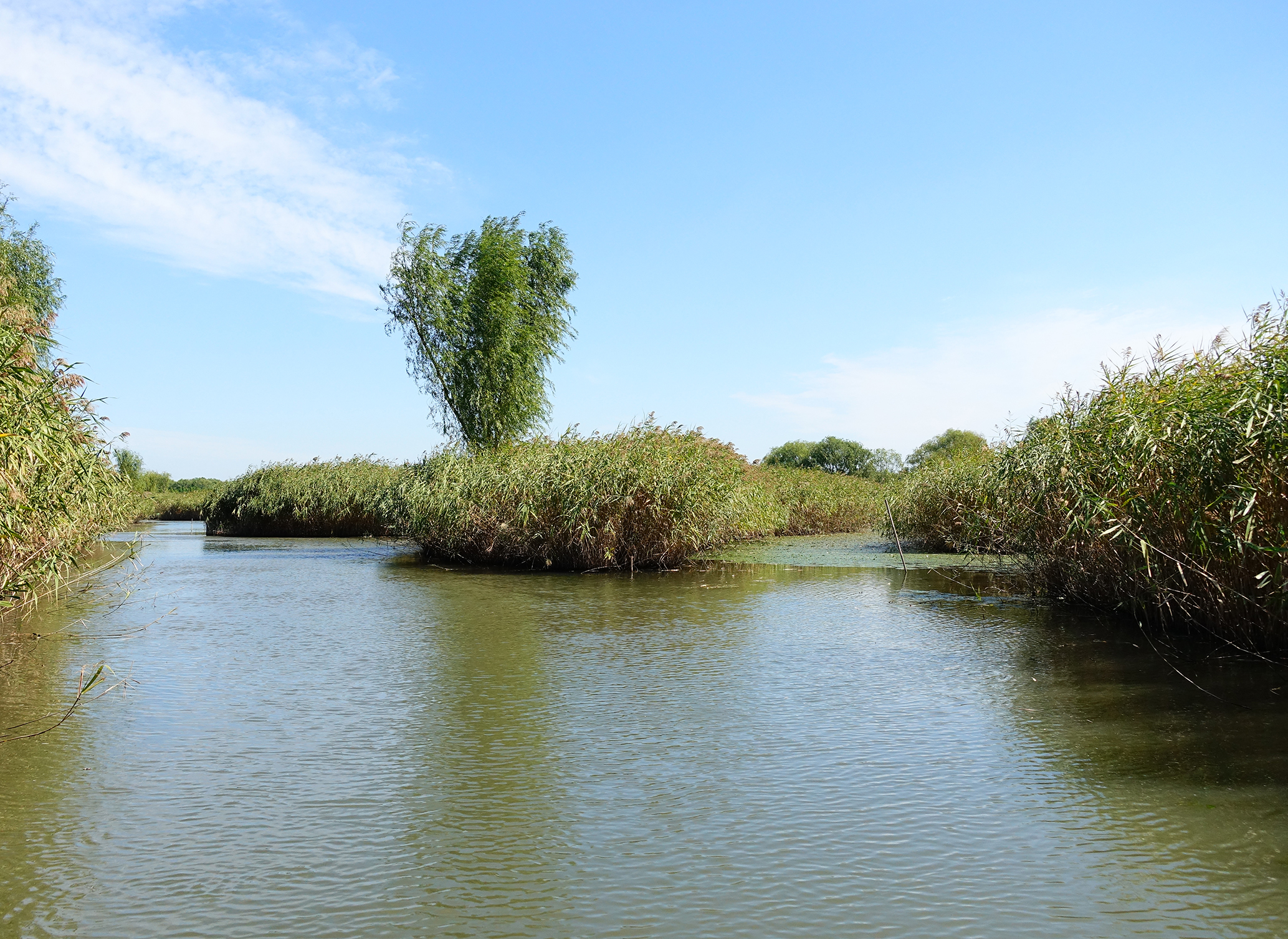 大纵湖旅游景区