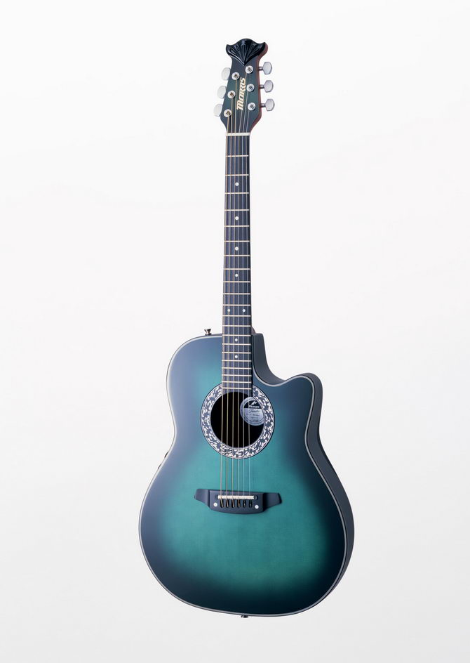  p>吉他(英语:guitar),又译为结他或六弦琴.