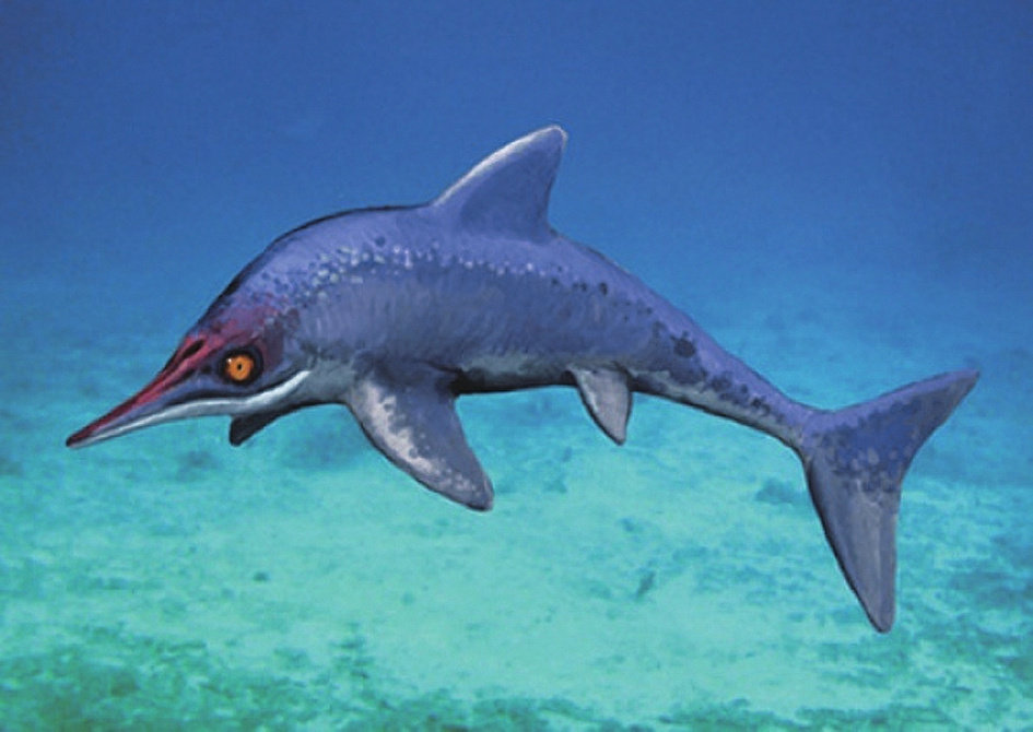  p data-id="gnbwrsbbh4">喜马拉雅鱼龙是一种大型海生鱼龙.