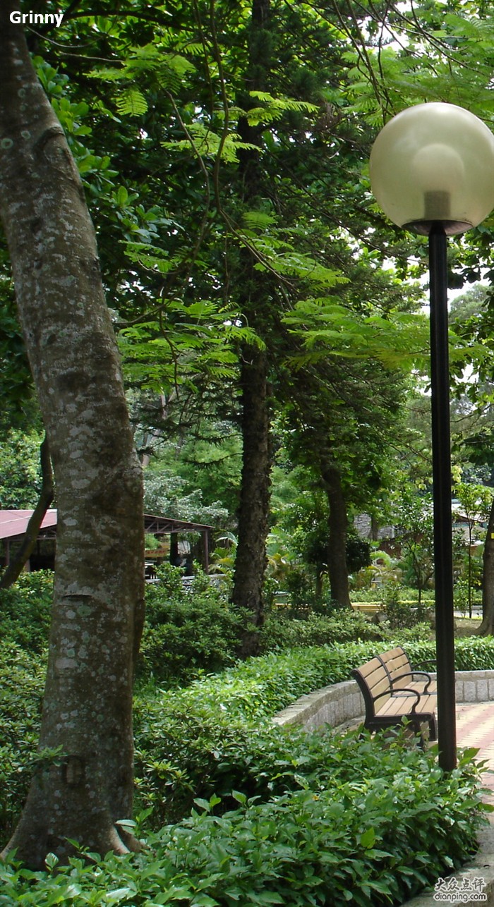 a>西北的石排湾公路旁,占地约二十万平方米,是澳门最大的郊野公园之一