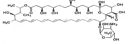 注射用两性霉素b脂质体