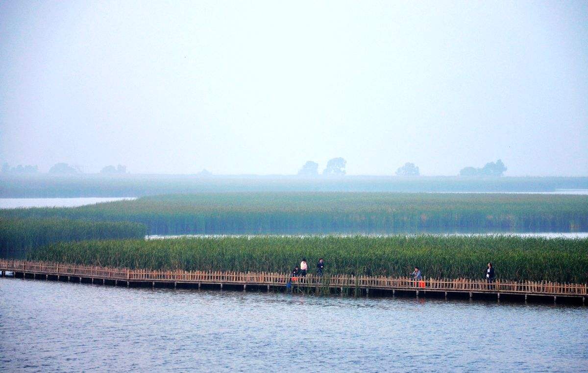 鹤鸣湖