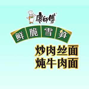 康师傅鲜脆雪笋系列面