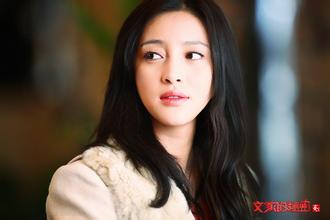  p>《文家的秘密》是由上海艺甲天趣投资管理有限公司出品的的都市剧