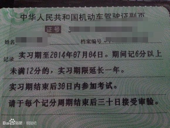 实习期驾照