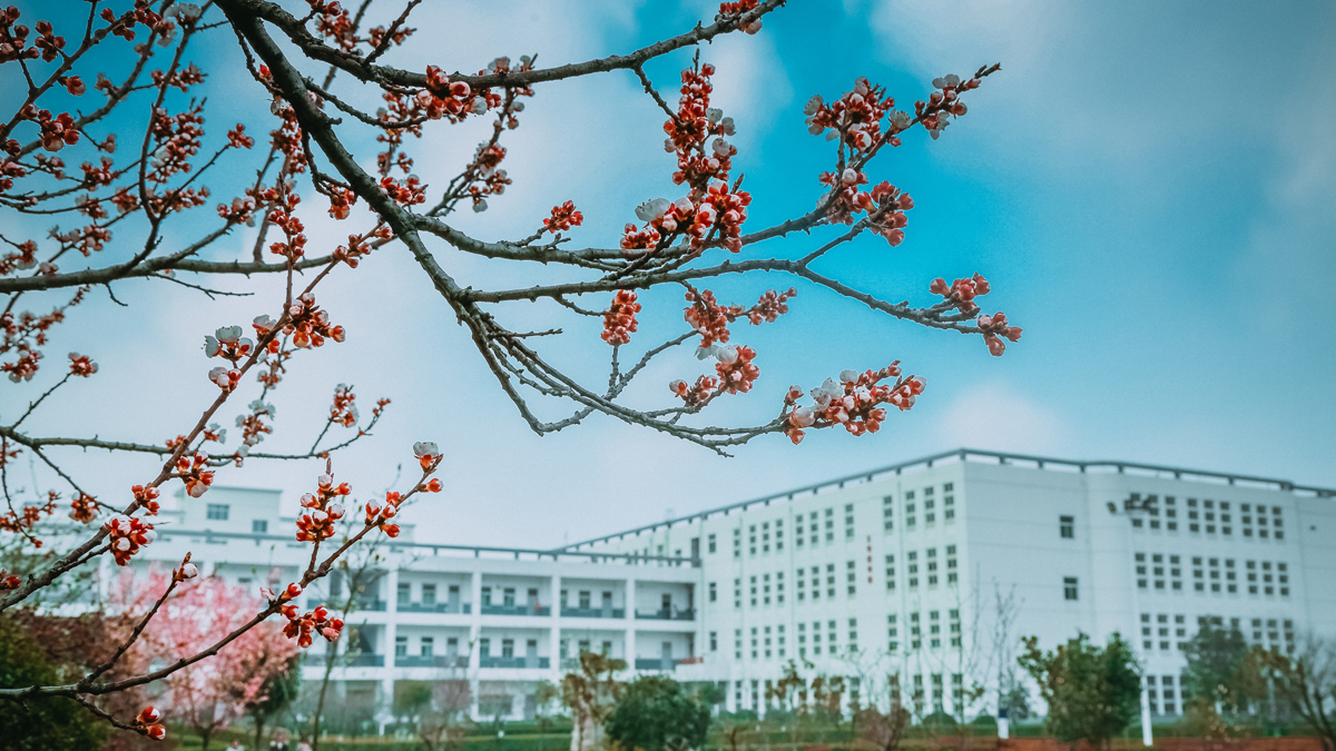 西安海棠职业学院