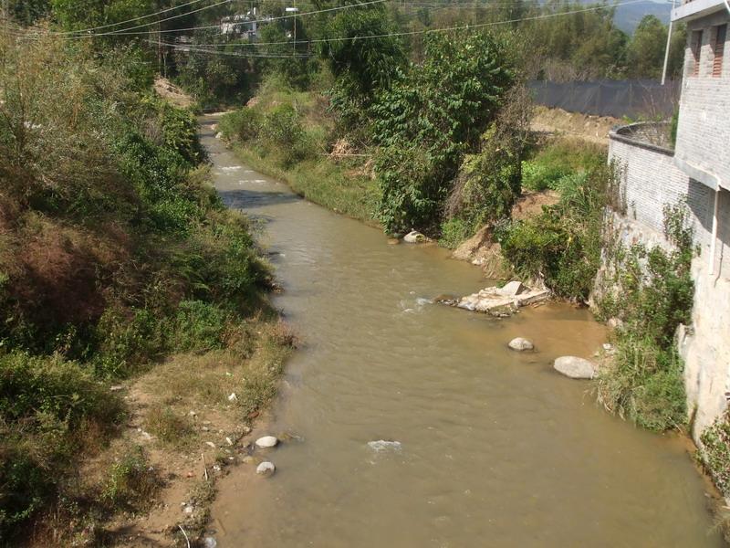 青树村