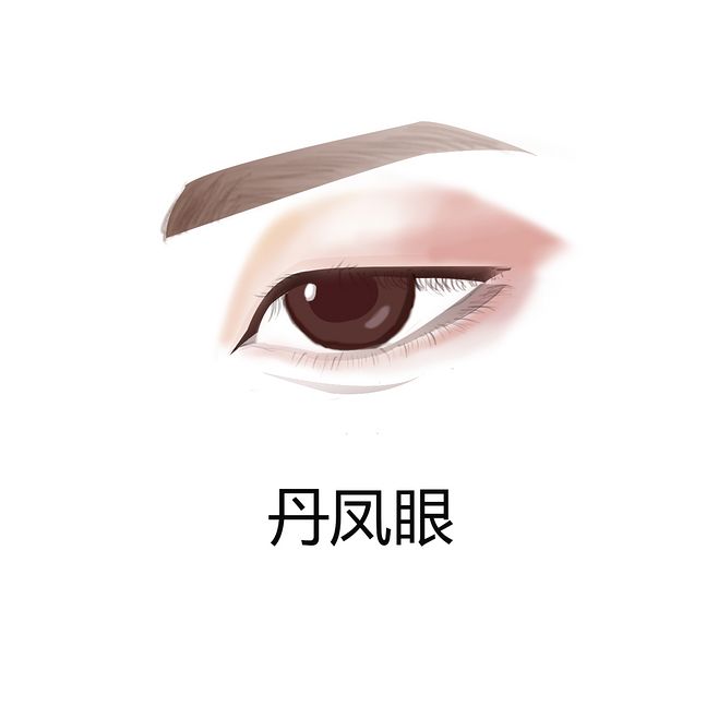  p>丹凤眼是凤眼的一种,严格来说应该是细长的,细而不小,眼尾平滑略微