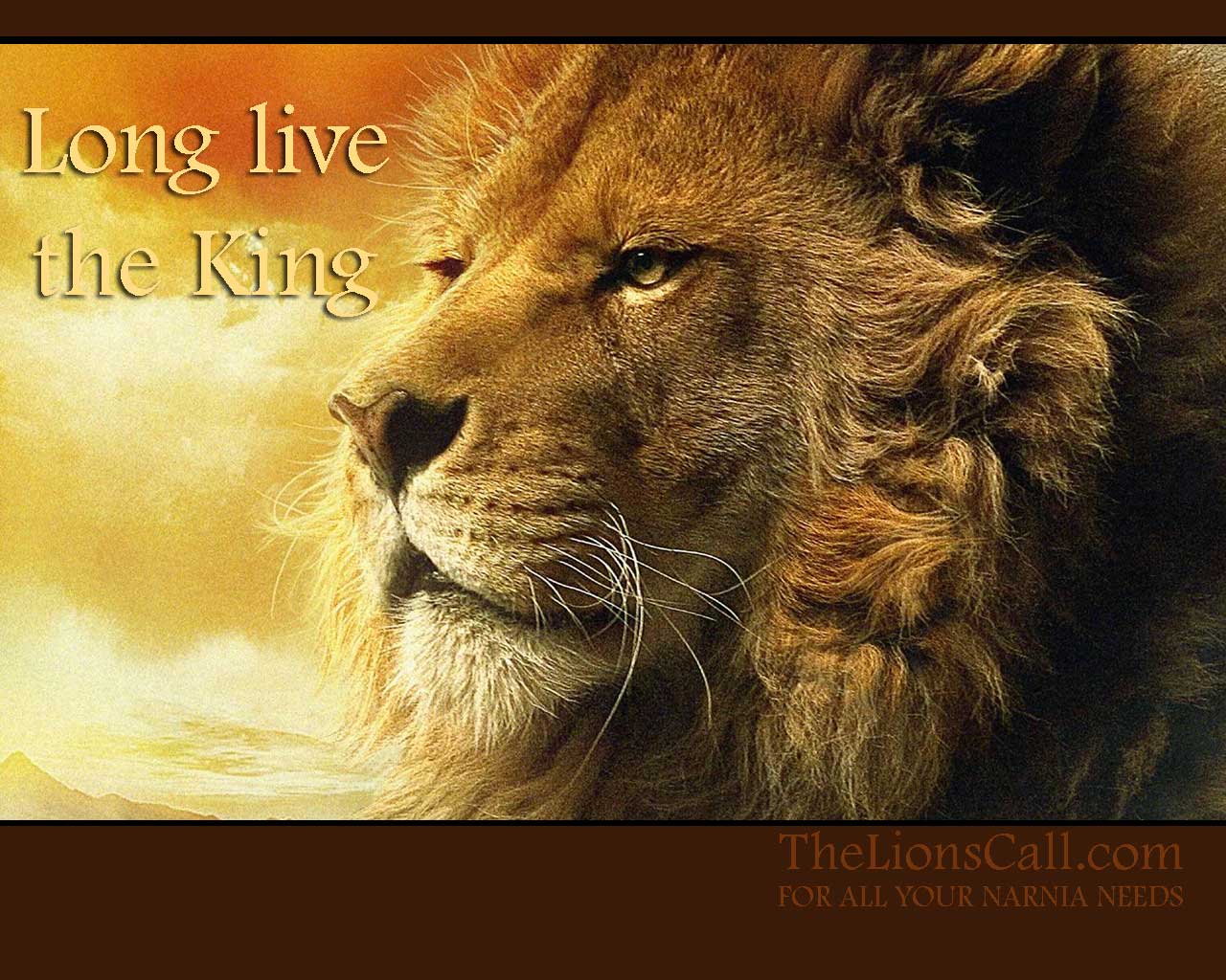  p>《狮子王3》是由布拉德利·雷蒙德执导, a href="#" data-lemmaid=