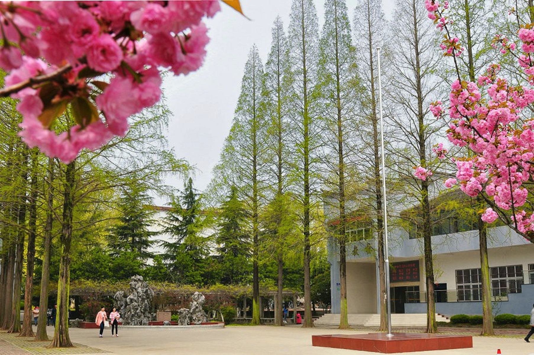 安徽林业技术学院