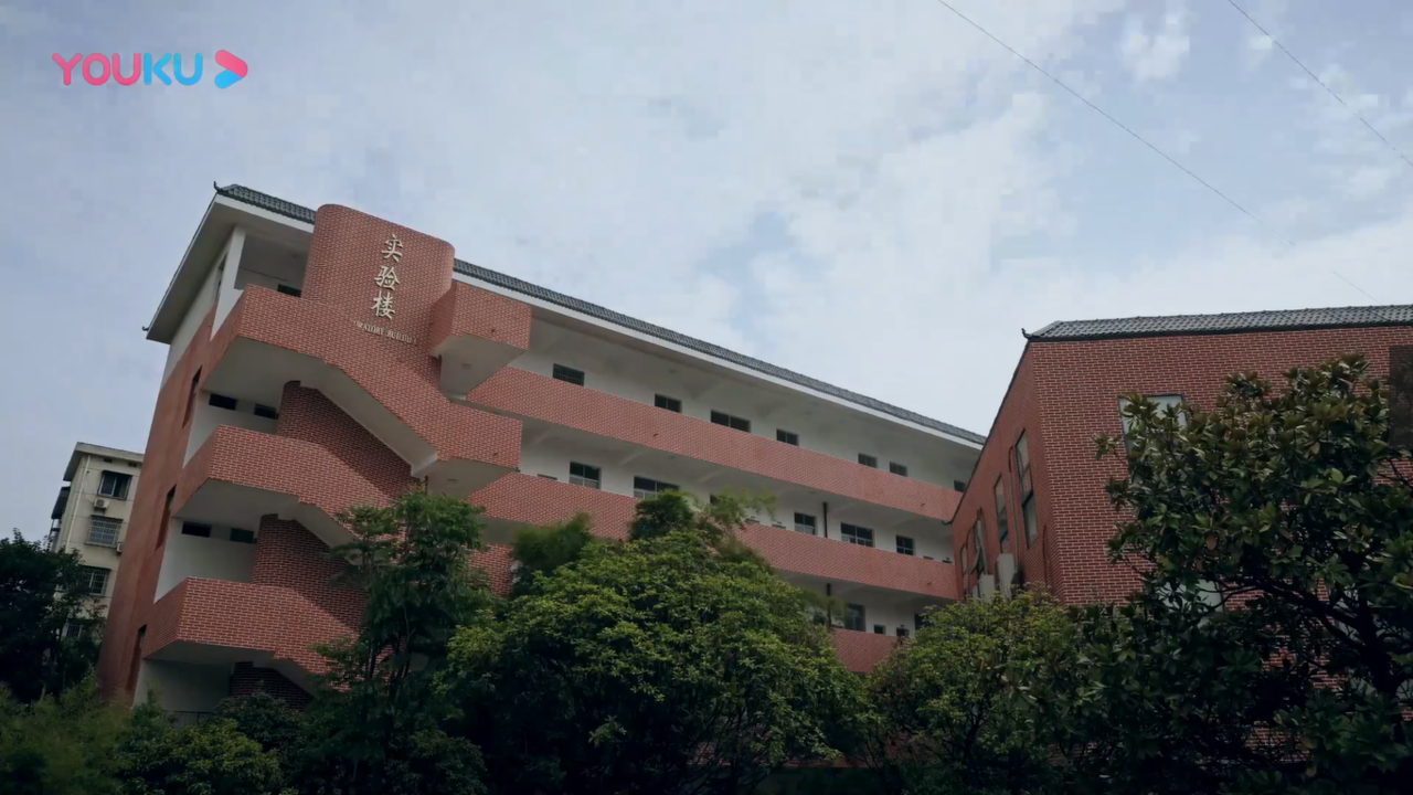 岳阳外国语学校