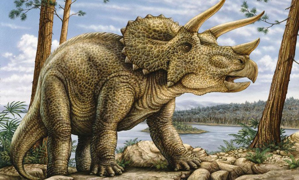 triceratops)亦称 a target="_blank" href="/item/三觭龙/7620712"