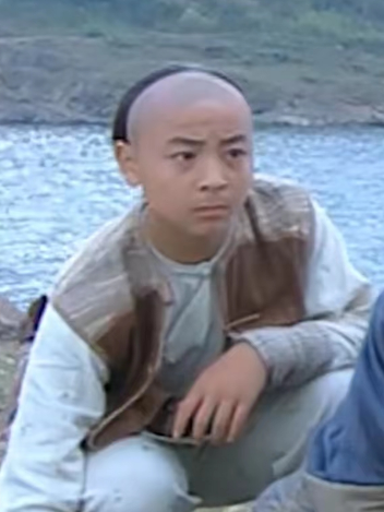  /a>主演的电视剧 a target="_blank" href="/item/《少年黄飞鸿》