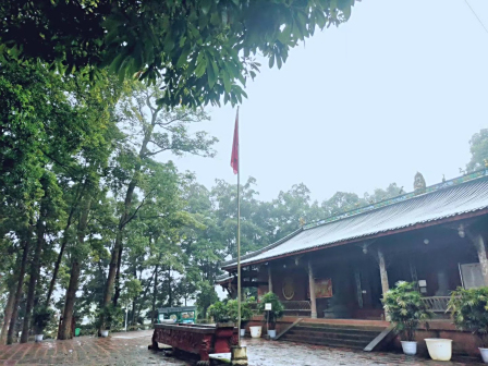 <p>飞泉寺及寺内石刻和寺外楠木林
