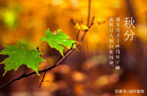 秋分时节已至，这些跟秋分有关的诗词记住了几个？_百科TA说