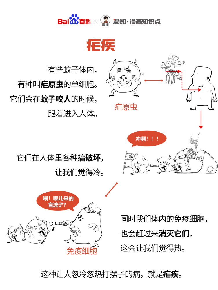 疟疾_百度百科
