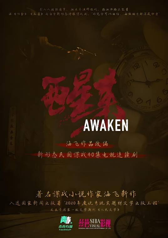 醒来（赵宝刚执导的剧情电视剧）_百度百科