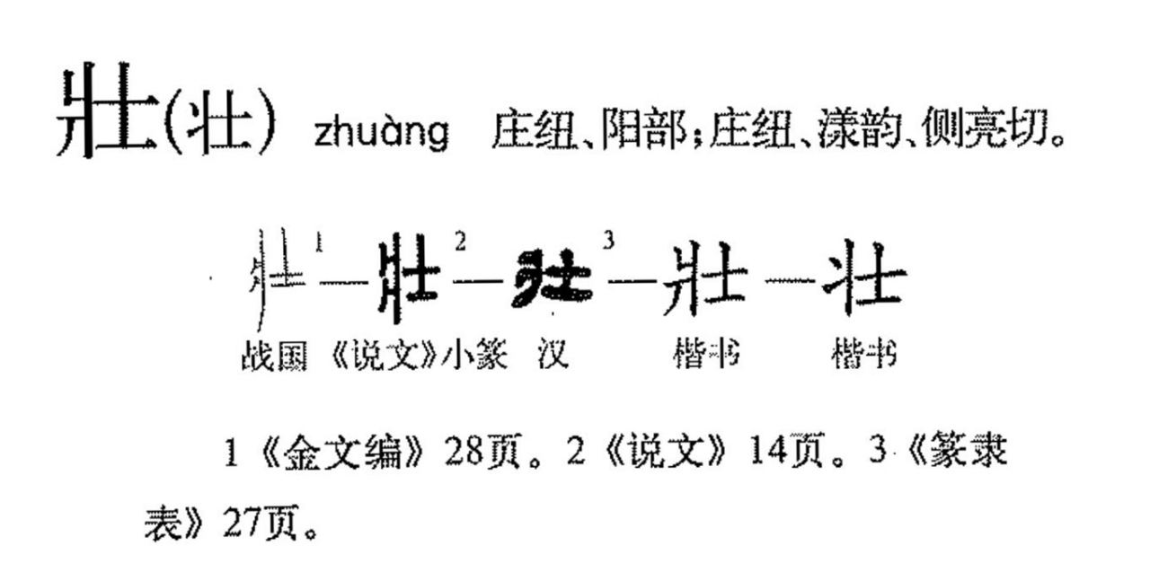 壮（汉语文字）_百度百科