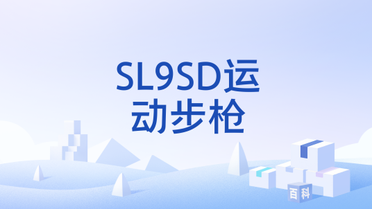 SL9SD运动步枪_百度百科