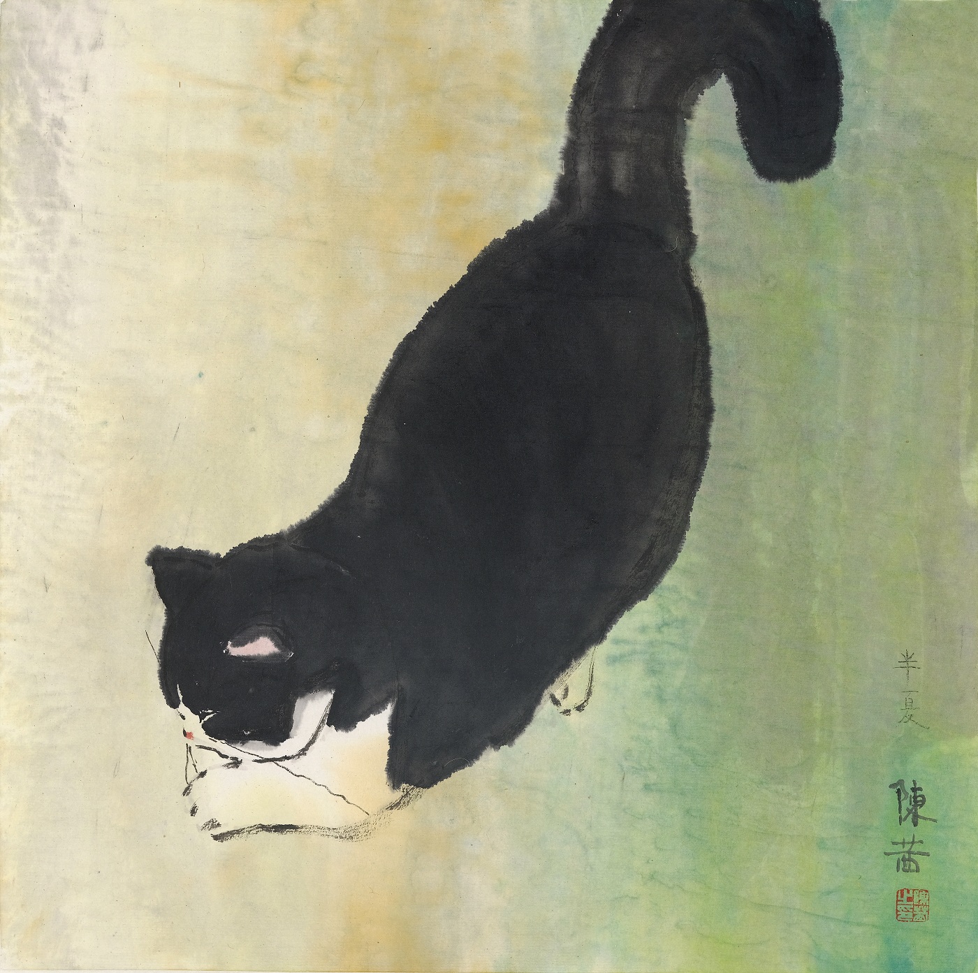陈茜