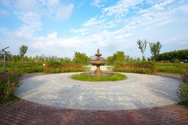  p data-id="seebkmnbepzm">阜阳植物园位于阜阳市城南新区东南角,北