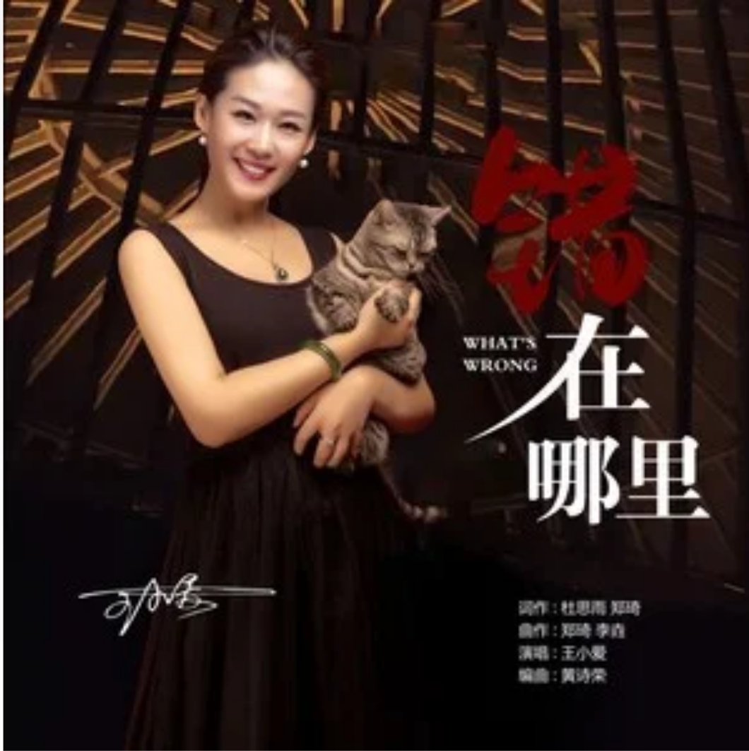  p data-id="2b56n7mwwpt">《错在哪里》是王小爱演唱的一首歌曲,由杜