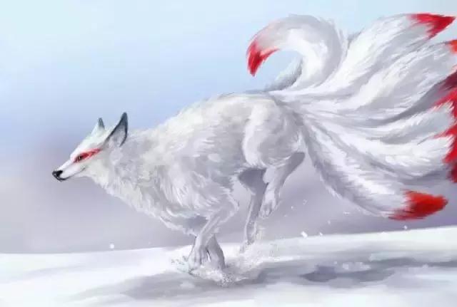 九尾白狐_百度百科